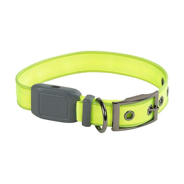 NiteDog Rechargeable LED Collar Lime LG