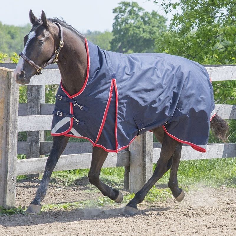 Canadian Horsewear 300gm Turnout - 81” Monarch