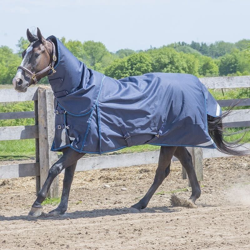 Canadian Horsewear 300gm Turnout - 72” Hurricane Diablo