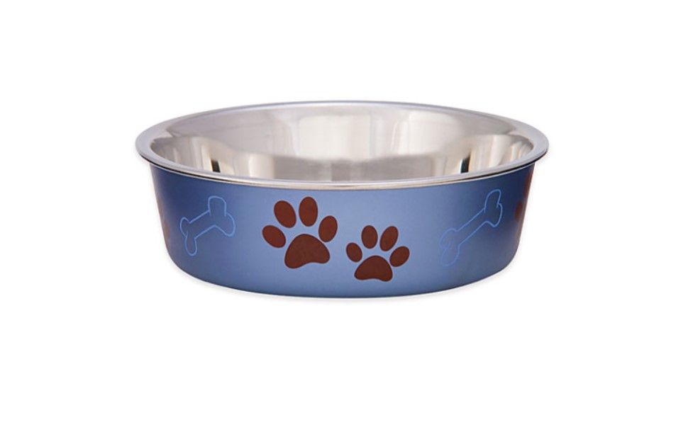 Bella Bowl  Blueberry XL