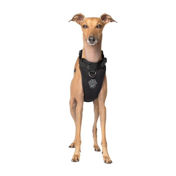Canada Pooch Everything Harness Mesh Black XL
