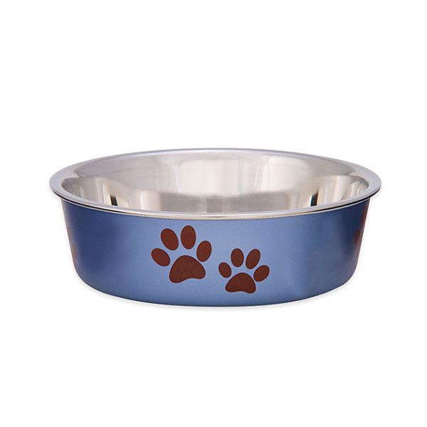 Bella Bowl  Blueberry L