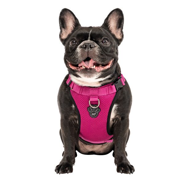 Canada Pooch Everything Harness Mesh Pink S