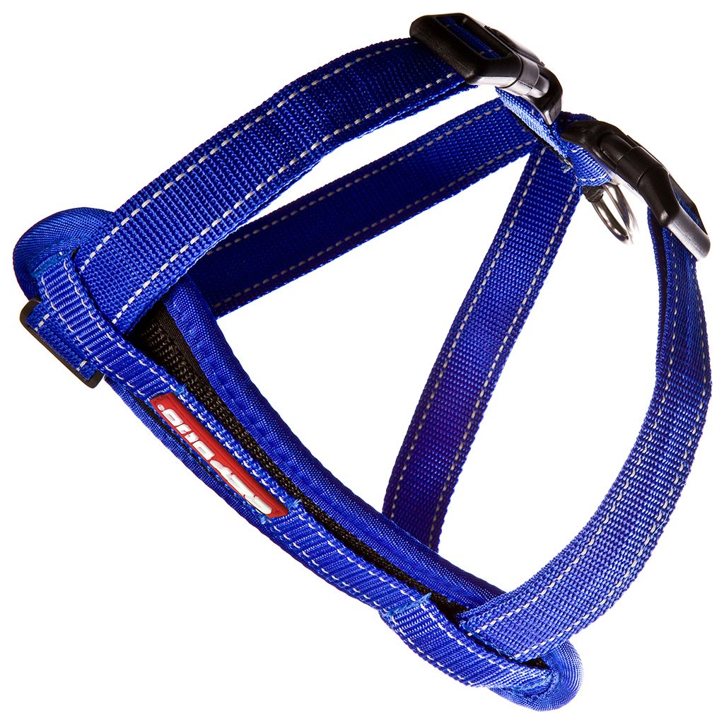 Chest Plate Harness Blue S