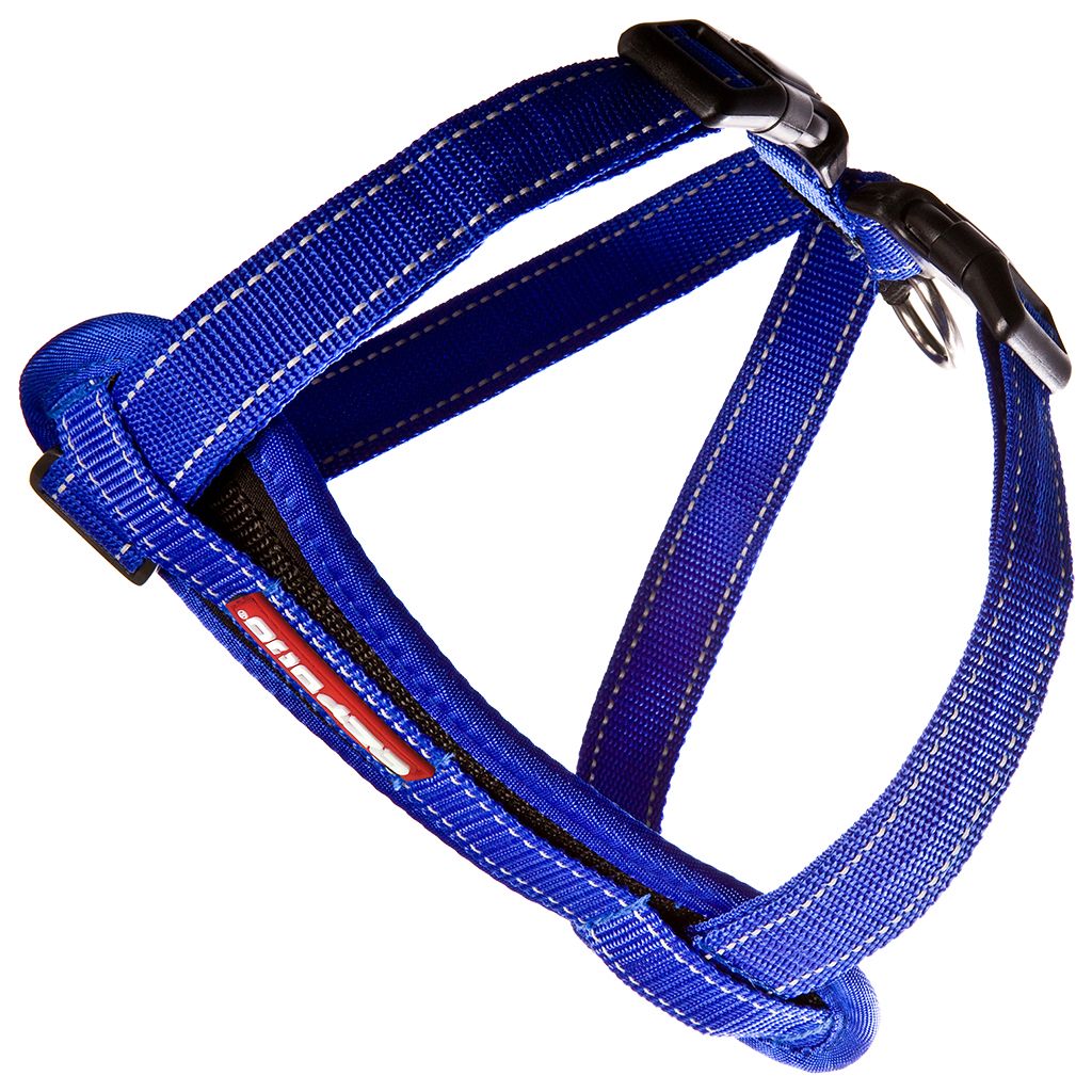 Chest Plate Harness Blue M