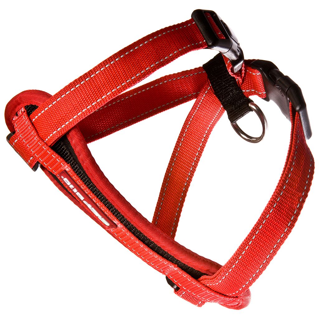 Chest Plate Harness Red S