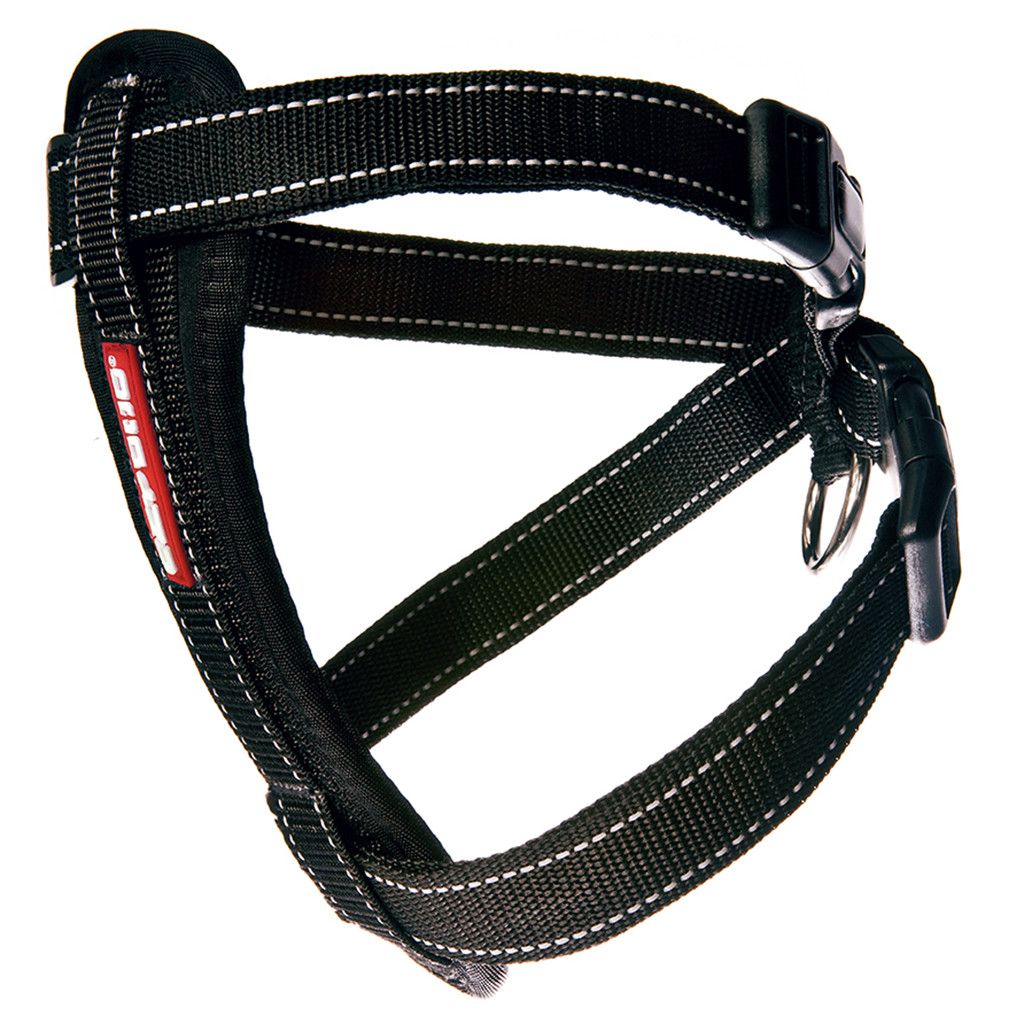 Chest Plate Harness Black M