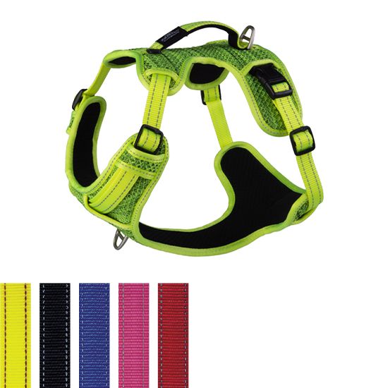 Explore Padded Harness Red L