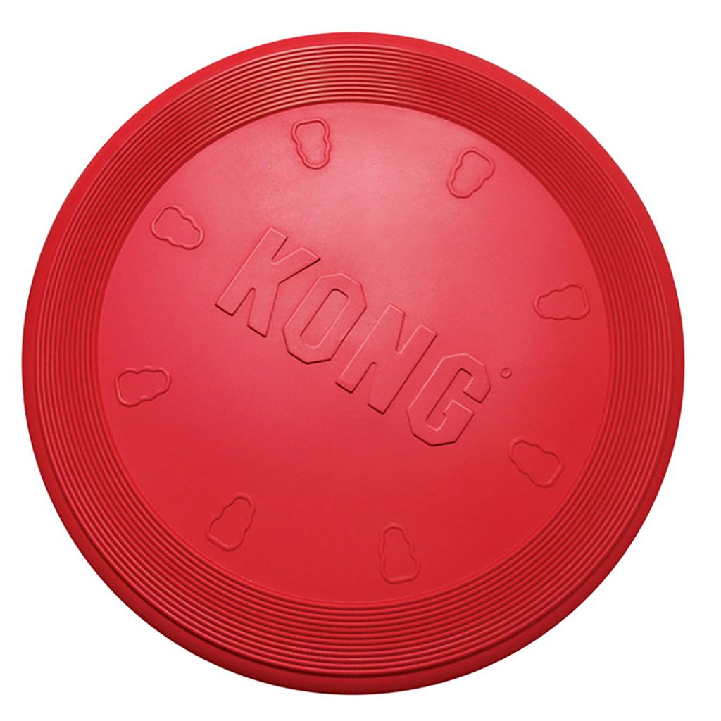 Kong Flyer SM