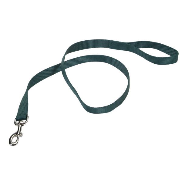 Nylon Lead Hunter Green 4' x 1"