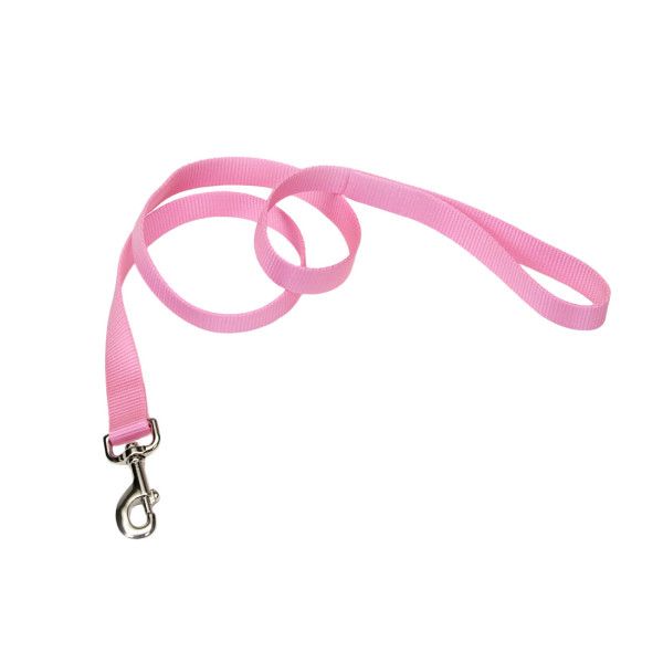 Nylon Lead Pink 6' x 1"