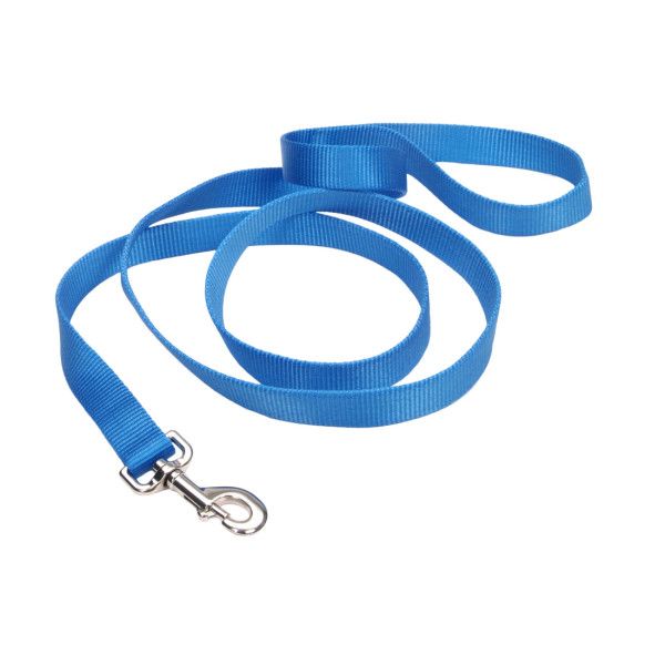 Nylon Lead Blue Lagoon 4' x 1"