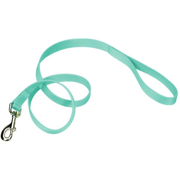 Nylon Lead Teal 6' x 3/4"