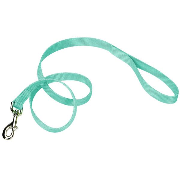 Nylon Lead Teal 6' x 1"