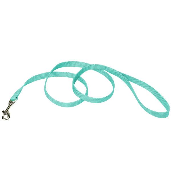 Nylon Lead Teal 6' x 5/8"