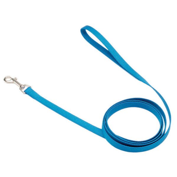 Nylon Lead Blue Lagoon 6' x 5/8"