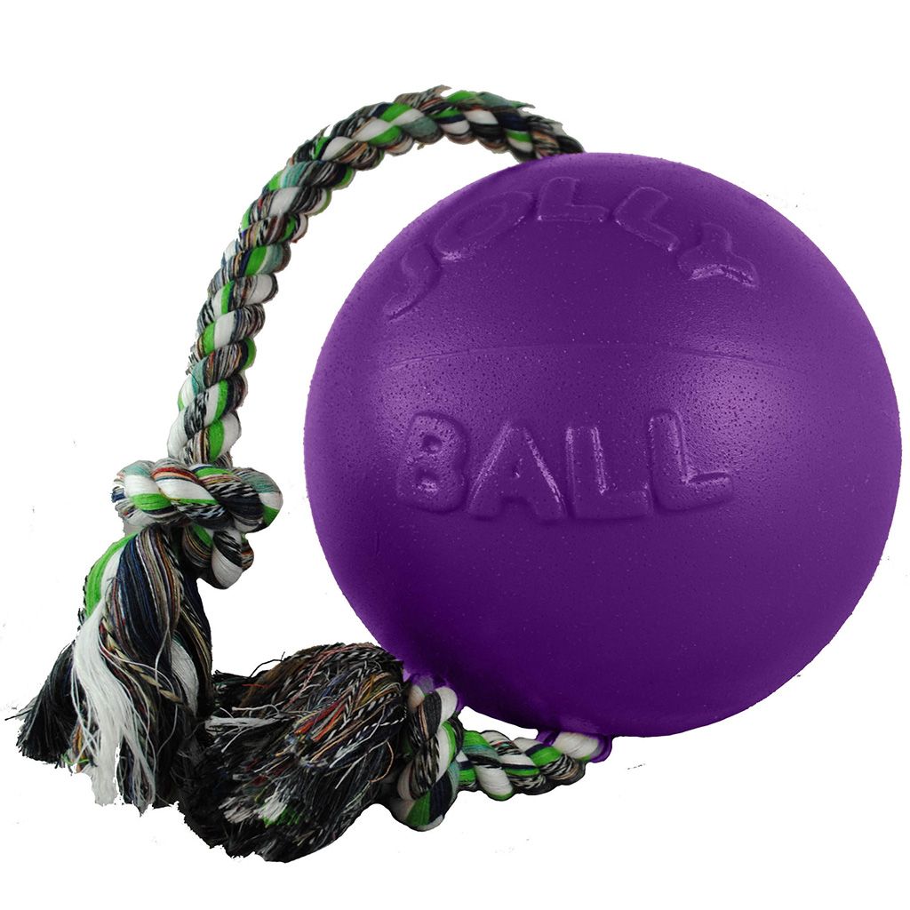 Romp N Roll Ball w/ Rope Purple 6&quot;