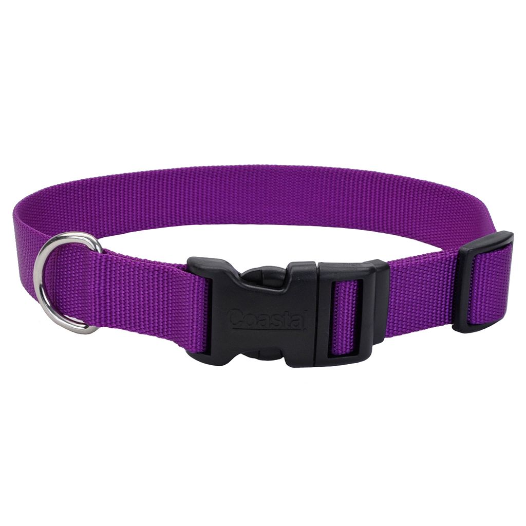 Tuff Nylon Collar Purple 8-12” x 3/8”