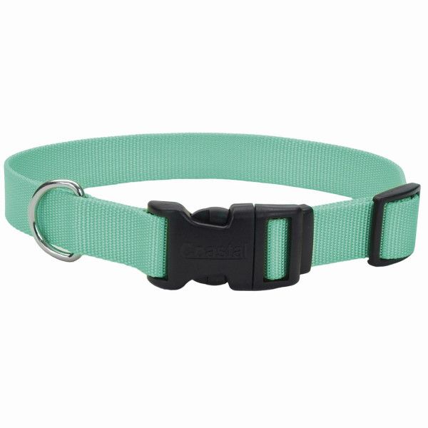Tuff Nylon Collar Teal 8-12” x 3/8”