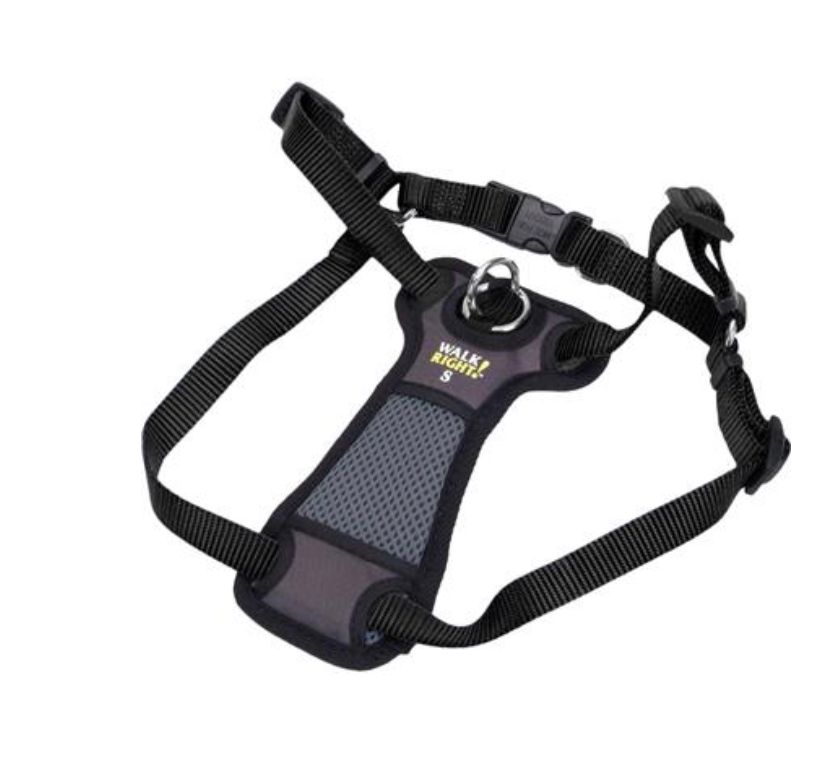 Walk Right Front Connect Harness Black M