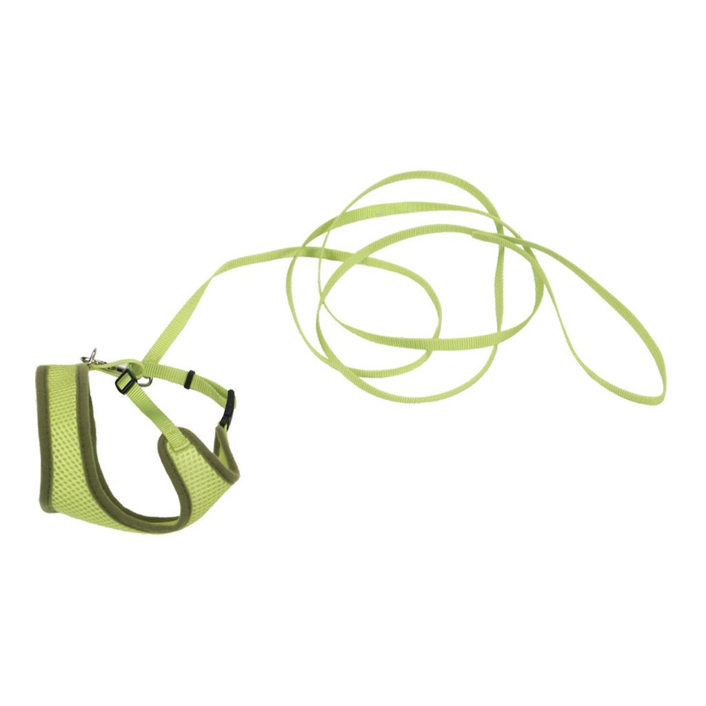 Comfort Soft Harness &amp; Lead 6’ Green