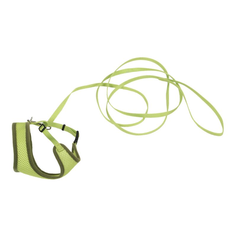 Comfort Soft Harness &amp; Lead 6’ Green