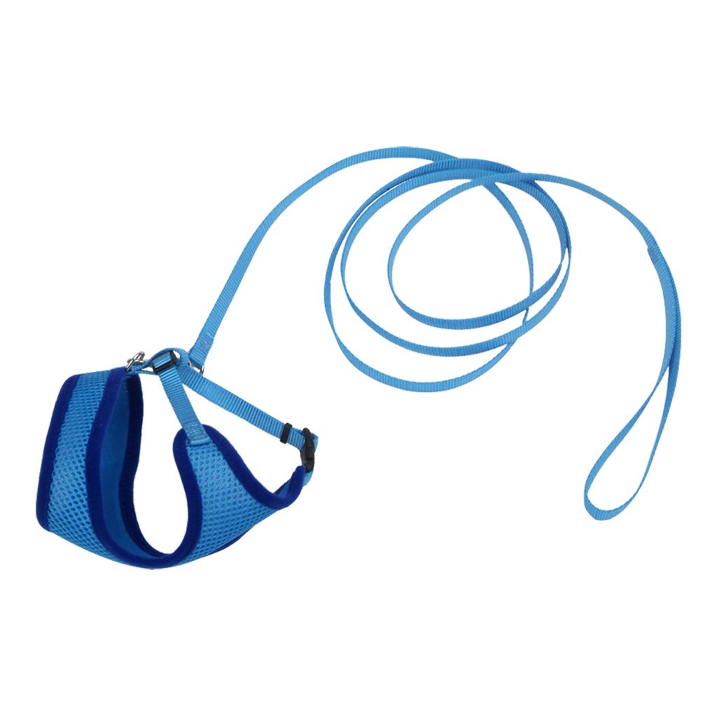 Comfort Soft Harness &amp; Lead 6’ Blue