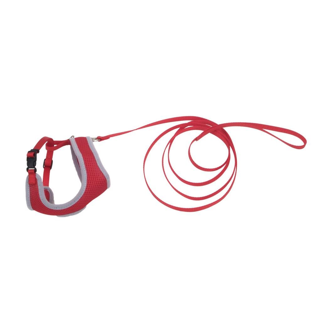 Comfort Soft Harness &amp; Lead 6’ Red