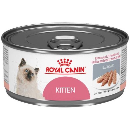 Royal Canin Kitten Loaf in Sauce [CAT] 5.1 OZ