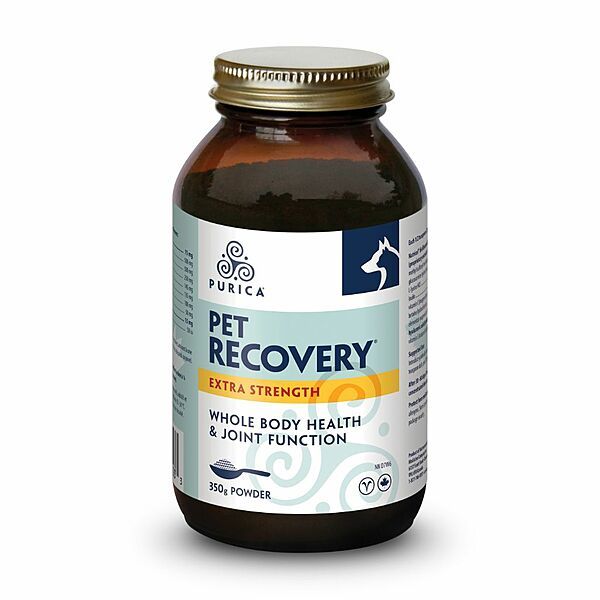 Recovery Extra-Strength 350G Powder