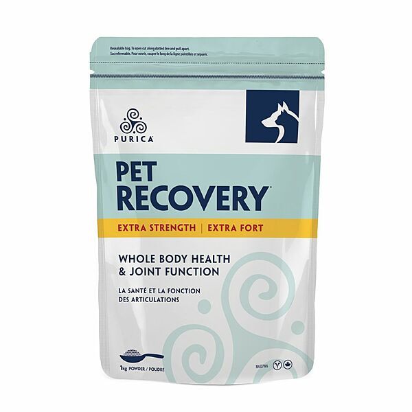 Recovery Extra-Strength 1KG Powder
