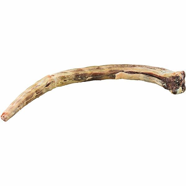 K9 Choice Frozen - Kangaroo Whole Tail