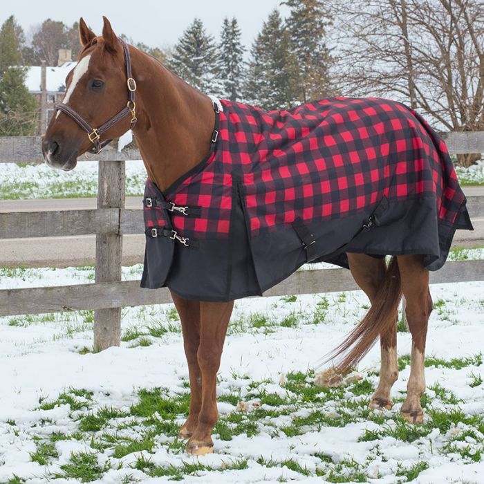 Canadian Horsewear Rainsheet - 84&quot; Buffalo Plaid Diablo