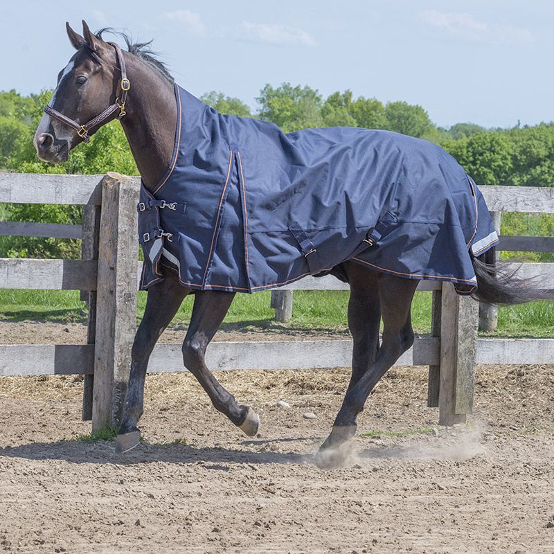 Canadian Horsewear 160gm Insulated Rainsheet - 78” Bronco