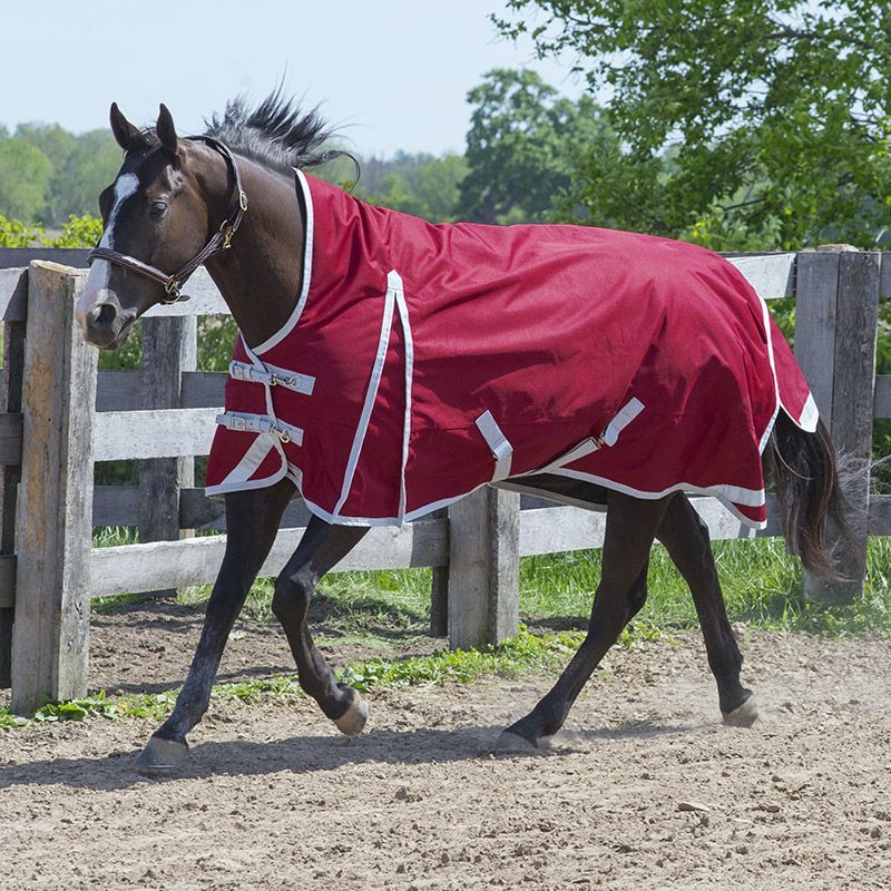 Canadian Horsewear 160gm Insulated Rainsheet - 72” Matador