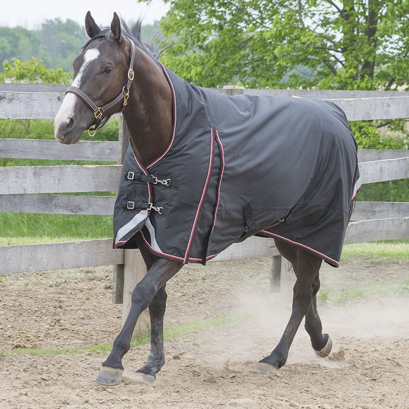 Canadian Horsewear 160gm Insulated Rainsheet - 78” Magnum