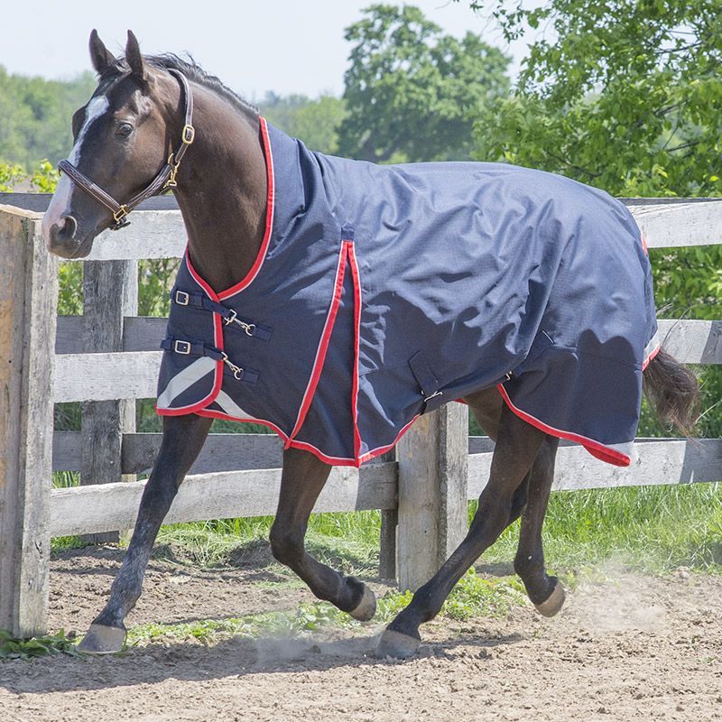 Canadian Horsewear 160gm Insulated Rainsheet - 78” Monarch