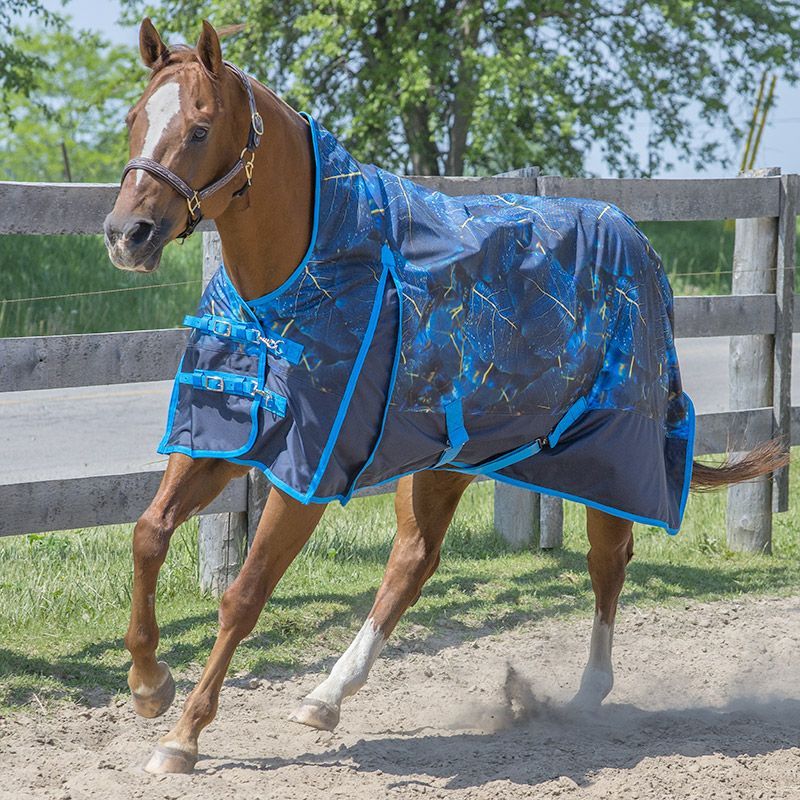 Canadian Horsewear 300gm Turnout - 81” Pandora