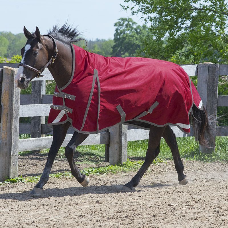 Canadian Horsewear 160gm Insulated Rainsheet - 72” Habanera