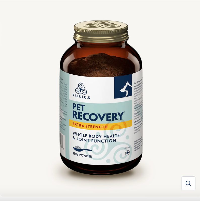 Recovery Extra-Strength 150G Powder