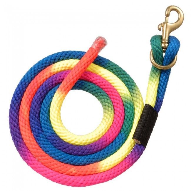 Nylon Rainbow Lead w/ Bolt Snap