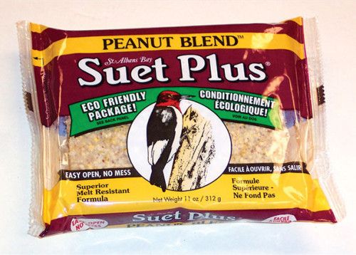 Suet Plus 11 OZ Peanut