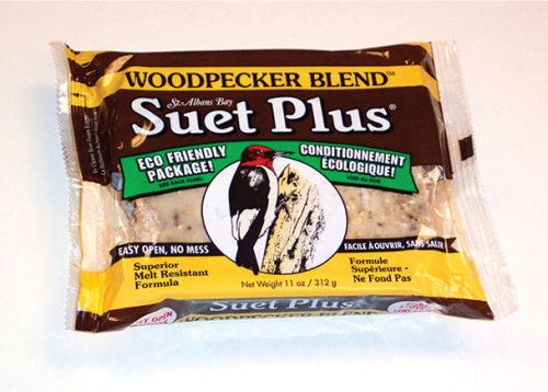 Suet Plus 11 OZ Woodpecker