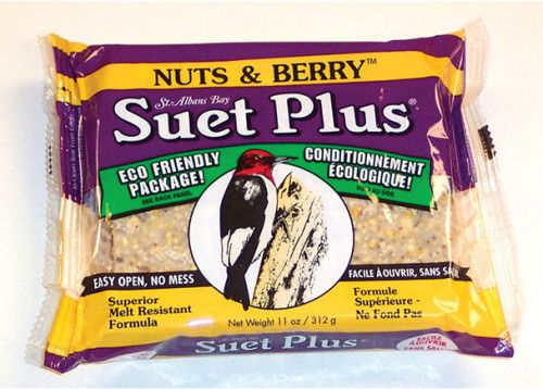 Suet Plus 11 OZ Nuts &amp; Berry