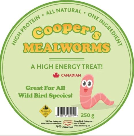 Cooper&#39;s Mealworms 250G