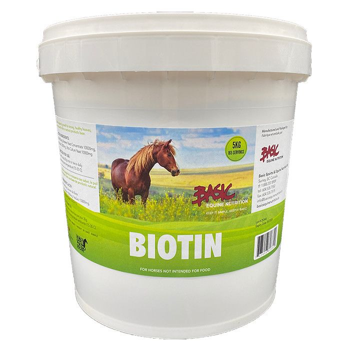 Basic Equine Biotin 5KG
