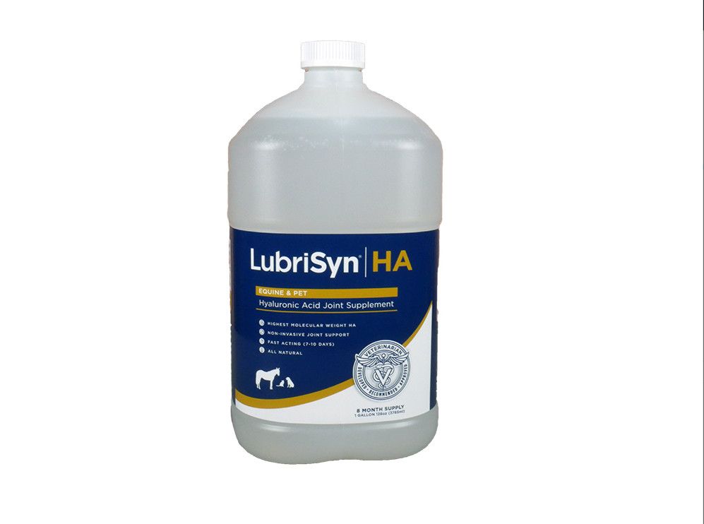 Lubrisyn HA 1 GAL