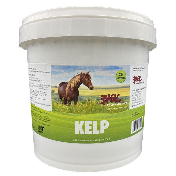 Basic Equine Kelp 1KG