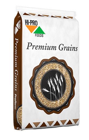 Black Oil Sunflower Seeds 18KG
