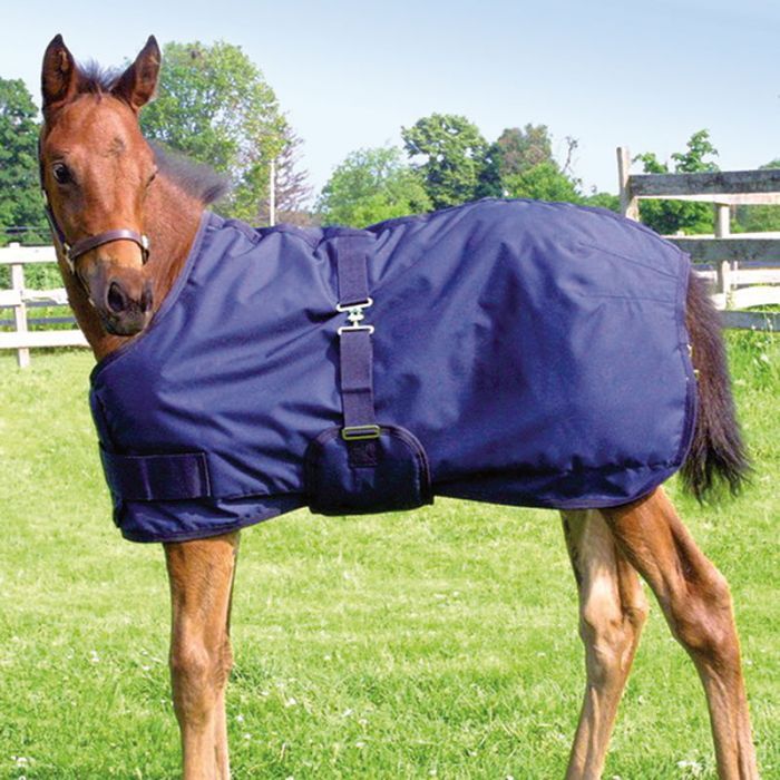 Canadian Horsewear 220gm Foal &amp; Mini Blanket 38”-46”